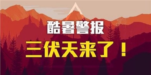 1534495595613193.jpg 8.jpg